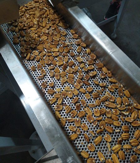 producto en proceso producor pecan (3)